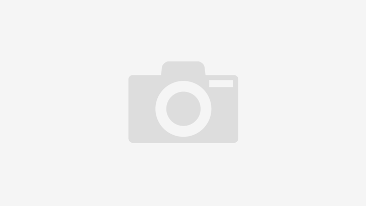 Timelentor 1.0.5 – Timeline Layouts for Elementor