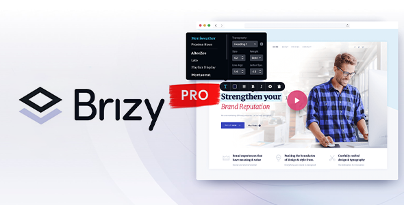 Brizy Pro page builder