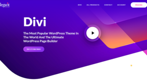 Divi Theme The Most Popular WordPress Theme