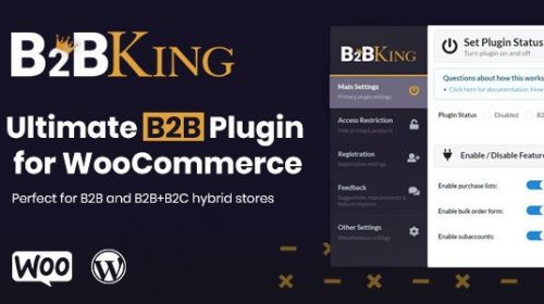 b2bking-4-6-25-the-ultimate-woocommerce-b2b-wholesale-plugin.jpg
