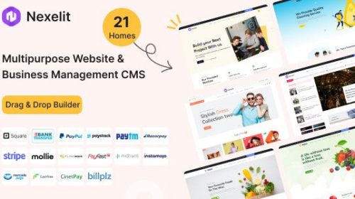 nexelit-3-4-1-nulled-multipurpose-website-business-management-system-cms.jpg